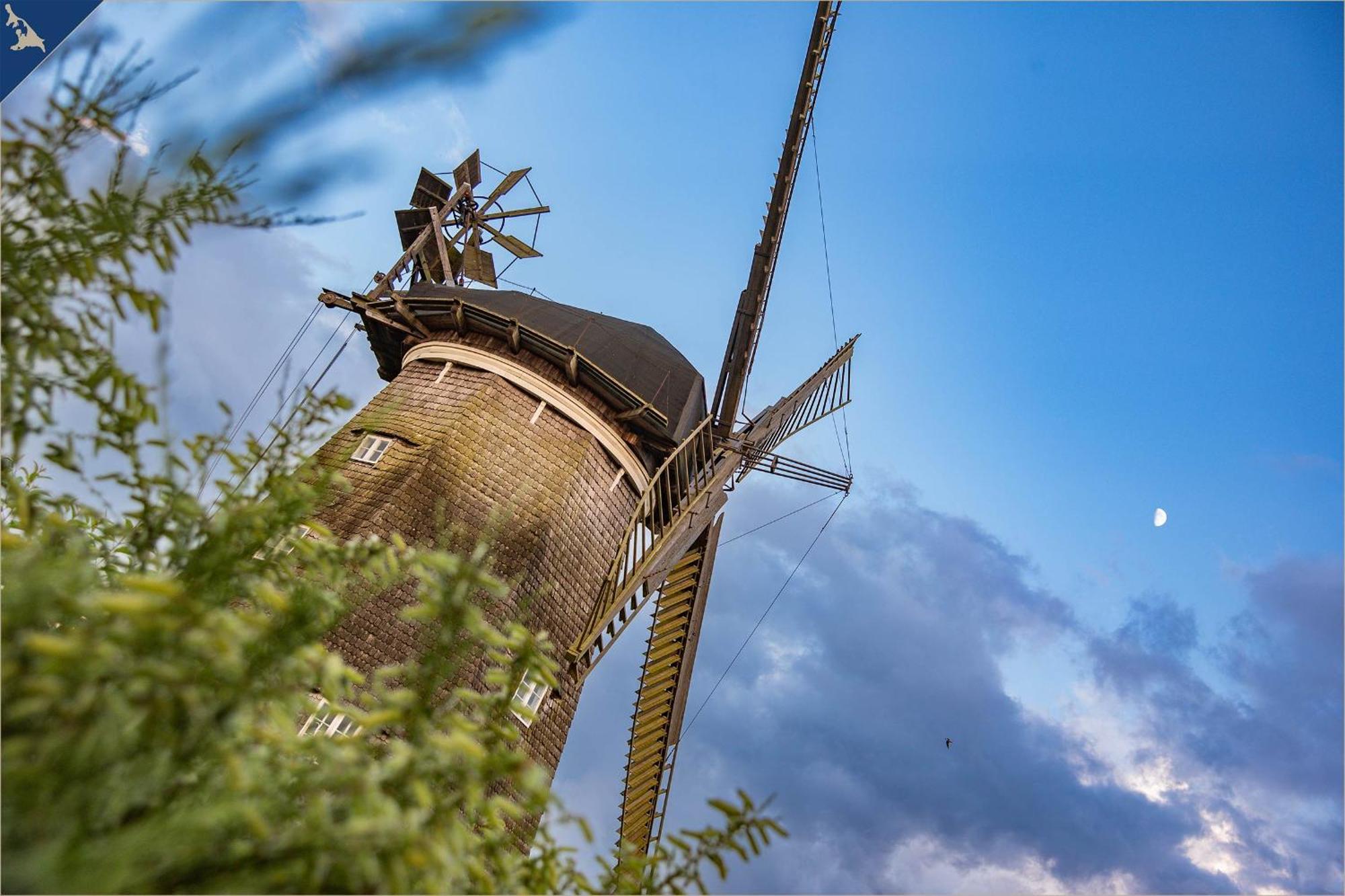 コルスヴァント Waldsiedlung Dhh Waldhaus 6ヴィラ エクステリア 写真